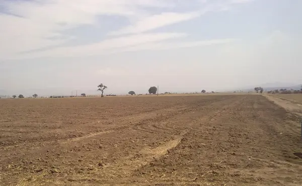 Terreno en venta en Acayuca, Zapotlán de Juárez — foto 2 de 4