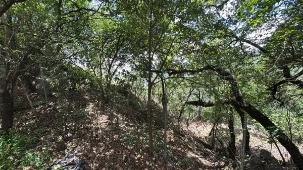 Terreno en Venta en Bosques de San Ángel Sector Palmillas, San Pedro Garza García, Nuevo León 4