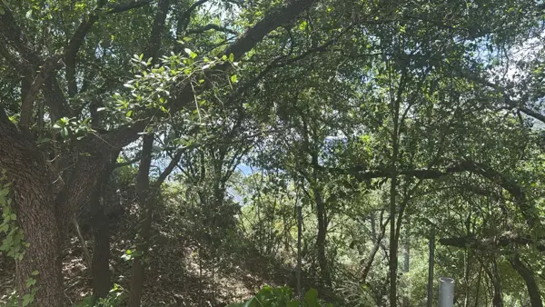 Terreno en Venta en Bosques de San Ángel Sector Palmillas, San Pedro Garza García, Nuevo León 2