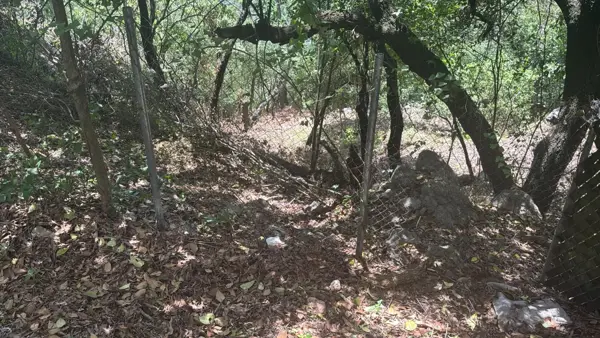 Terreno en Venta en Bosques de San Ángel Sector Palmillas, San Pedro Garza García, Nuevo León 5