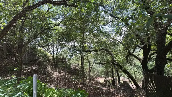 Terreno en Venta en Bosques de San Ángel Sector Palmillas, San Pedro Garza García, Nuevo León 3