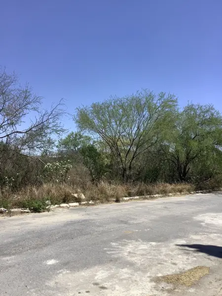 Terreno en venta en Paseo del Norte, Salinas Victoria — foto 3 de 4