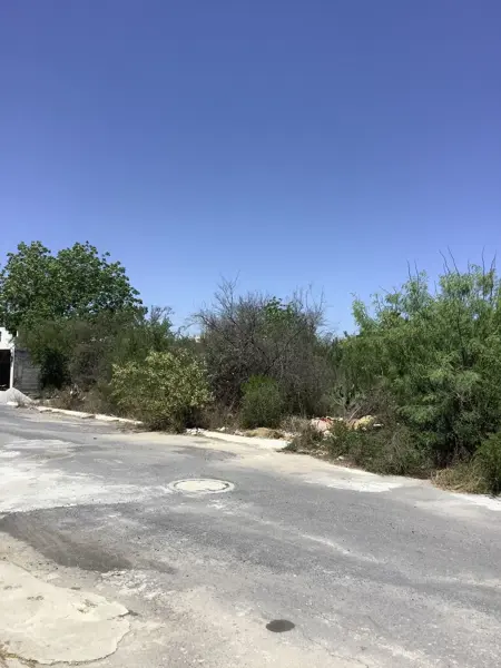 Terreno en venta en Paseo del Norte, Salinas Victoria — foto 2 de 4