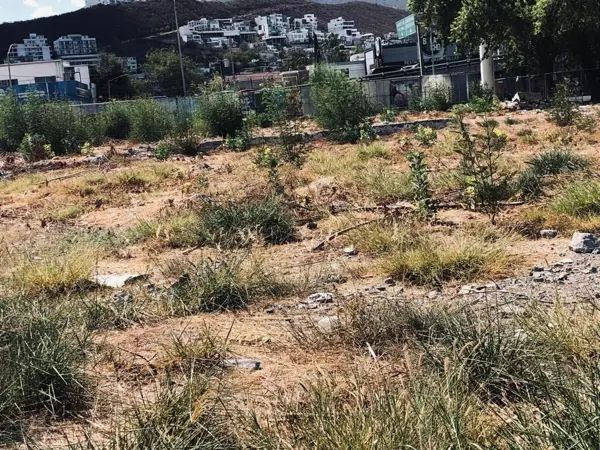 Terreno en renta en Mitras Sur, Monterrey — foto 3 de 4