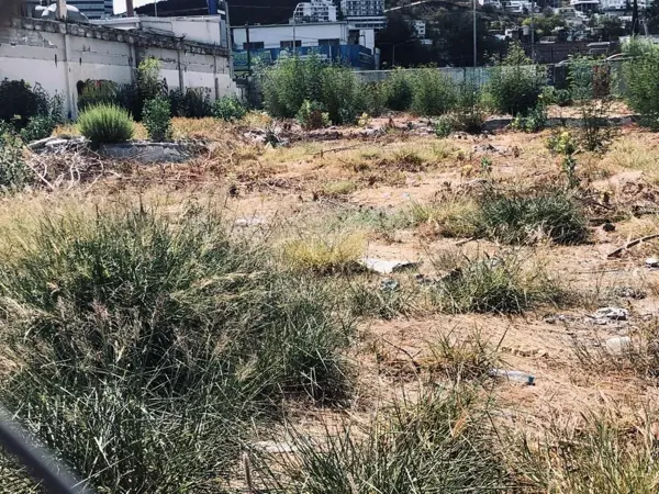 Terreno en renta en Mitras Sur, Monterrey — foto 2 de 4