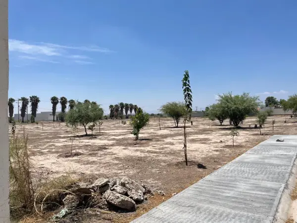 Terreno en venta en Ejido San Miguel, Matamoros — foto 3 de 5