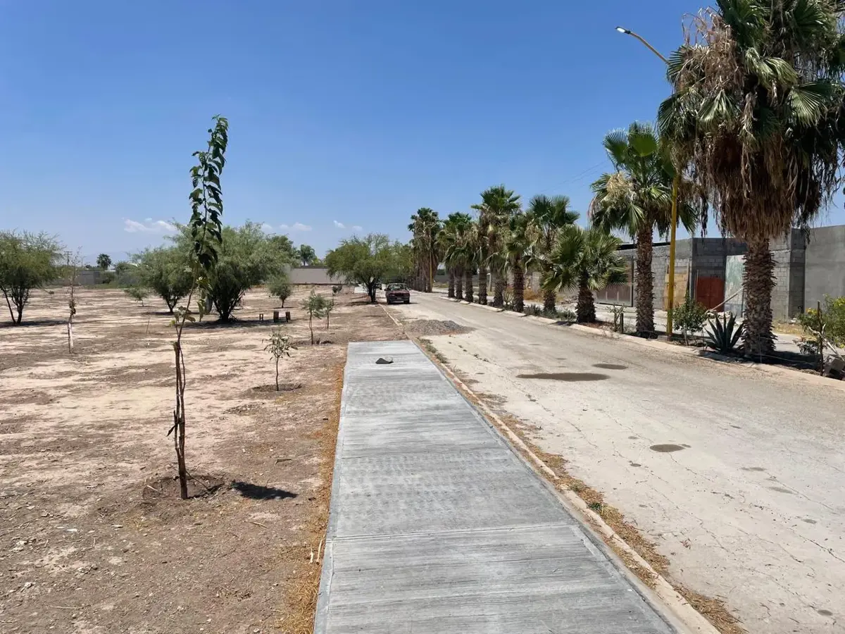 Terreno en venta en Ejido San Miguel, Matamoros — foto 1 de 5