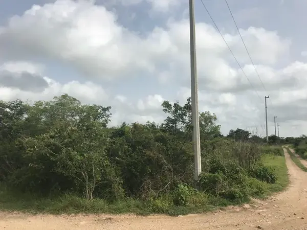 Terreno en venta en Cholul, Mérida — foto 3 de 5