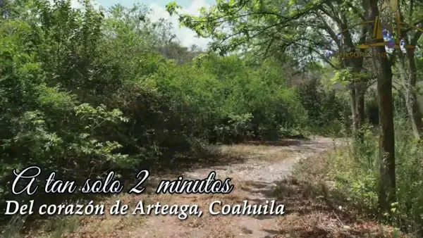 Terreno en venta en Arteaga Centro, Arteaga — foto 3 de 14