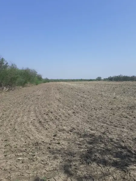 Terreno en venta en San Bartolo (Puerto Rico), Cadereyta Jiménez — foto 3 de 6