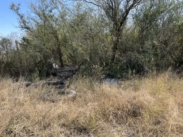Terreno en venta en San Bartolo (Puerto Rico), Cadereyta Jiménez — foto 2 de 5