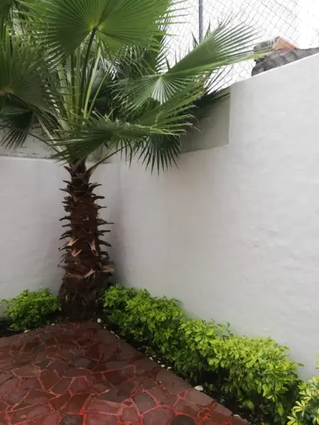 Casa en venta en Santa Maria de Guido, Morelia — foto 2 de 23