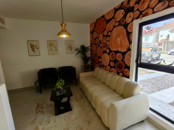 Casa en venta en Residencial Palma Real, Torreón — foto 3 de 21
