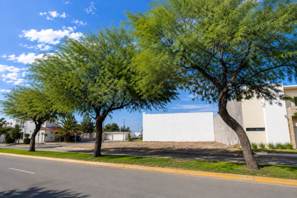 Terreno en venta en Hacienda del Rosario, Torreón — foto 3 de 4