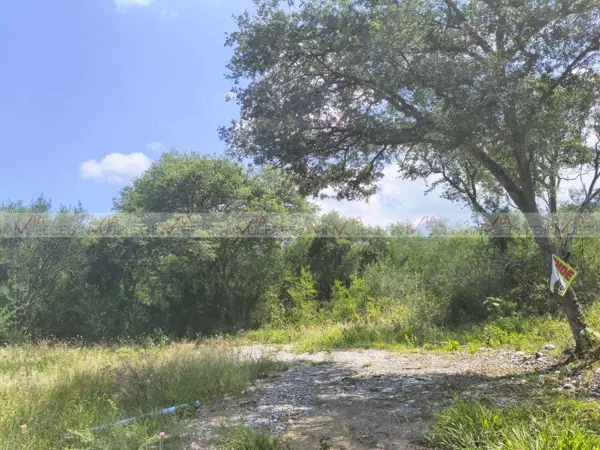 Terreno en venta en Los Sabinos, Montemorelos — foto 3 de 18