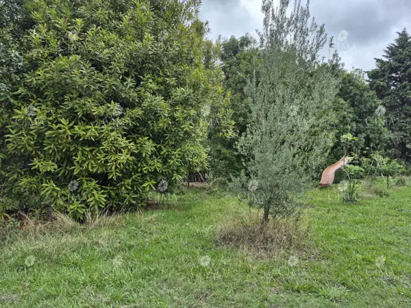 Terreno en venta en Santa Maria Ahuacatitlan, Cuernavaca — foto 3 de 9