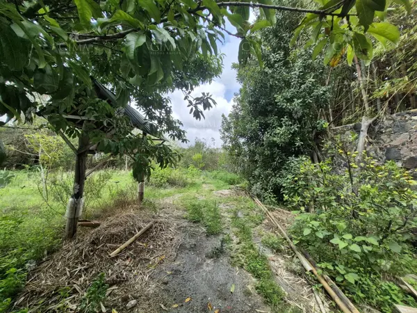 Terreno en venta en Santa Maria Ahuacatitlan, Cuernavaca — foto 2 de 10