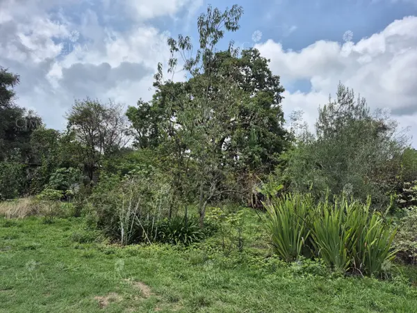 Terreno en venta en Santa Maria Ahuacatitlan, Cuernavaca — foto 3 de 9