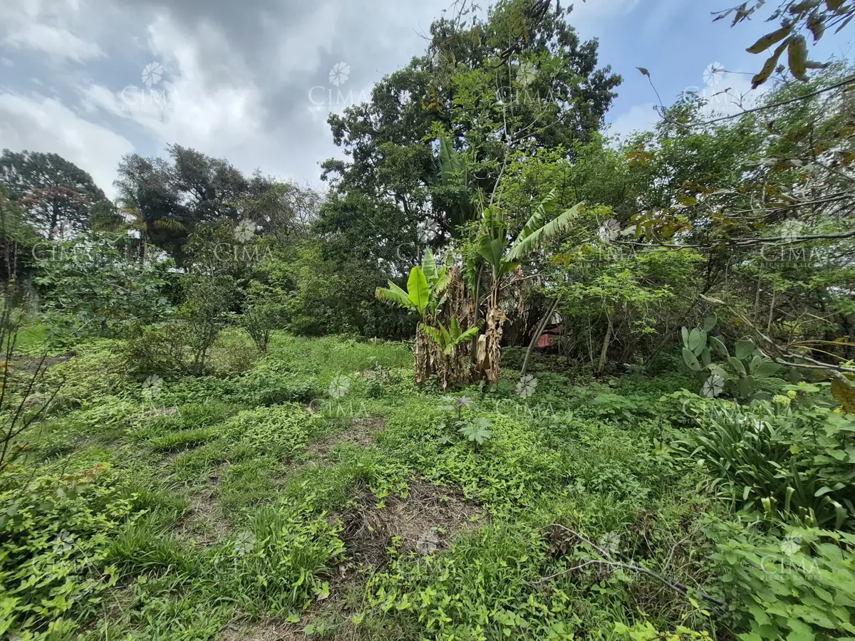 Terreno en venta en Santa Maria Ahuacatitlan, Cuernavaca — foto 1 de 9