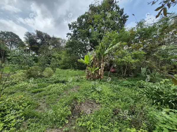 Terreno en venta en Santa Maria Ahuacatitlan, Cuernavaca — foto 2 de 10