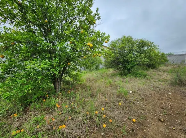 Terreno en venta en Las Raíces, Allende — foto 2 de 6