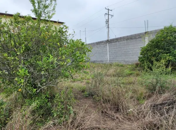 Terreno en venta en Las Raíces, Allende — foto 3 de 6