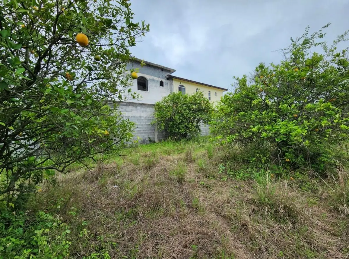 Terreno en venta en Las Raíces, Allende — foto 1 de 6