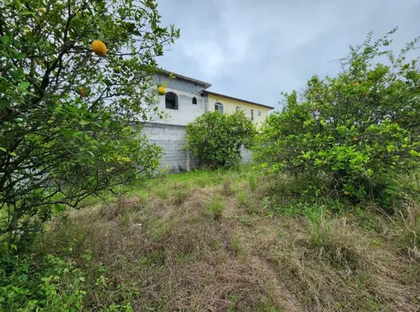 Terreno en Las Raíces, Allende Nuevo León Terreno en Las Raíces, Allende Nuevo León