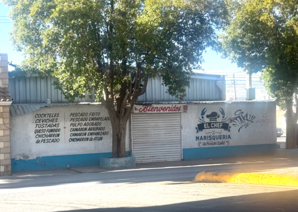 Bodega en venta en Oscar Flores Tapia, Torreón — foto 3 de 14