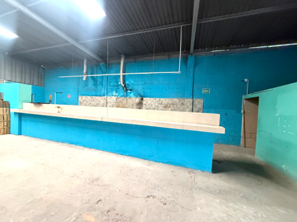 Bodega en renta en Oscar Flores Tapia, Torreón — foto 3 de 14