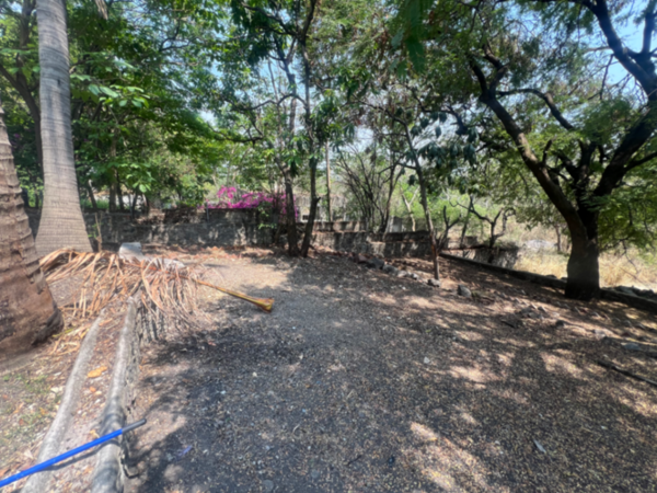 Terreno en venta en Xoxocotla Centro, Xoxocotla — foto 3 de 4