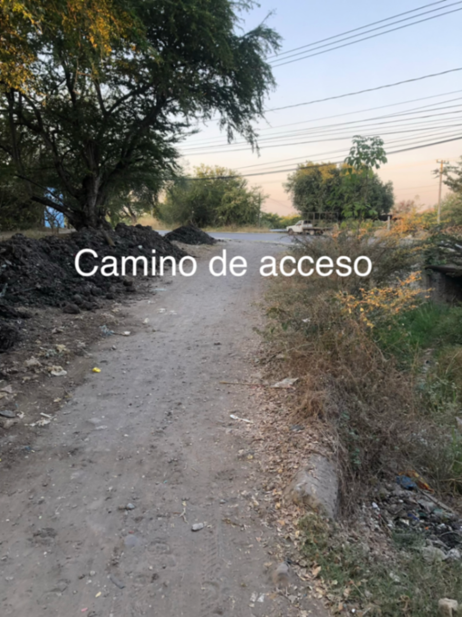 Terreno en venta en Xoxocotla Centro, Xoxocotla — foto 1 de 4