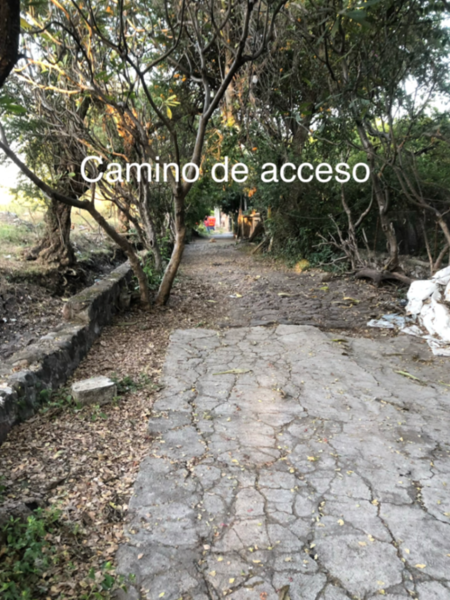 Terreno en venta en Xoxocotla Centro, Xoxocotla — foto 2 de 4