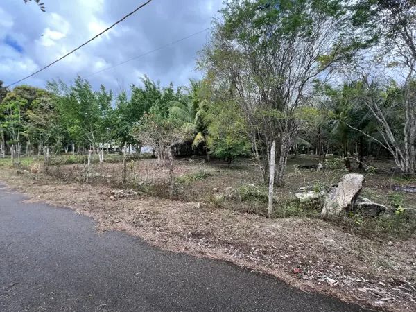 Terreno en venta en Laguna Guerrero, Othón P. Blanco — foto 2 de 10