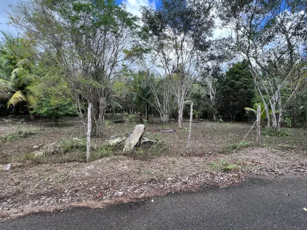 Terreno en venta en Laguna Guerrero, Othón P. Blanco — foto 3 de 10