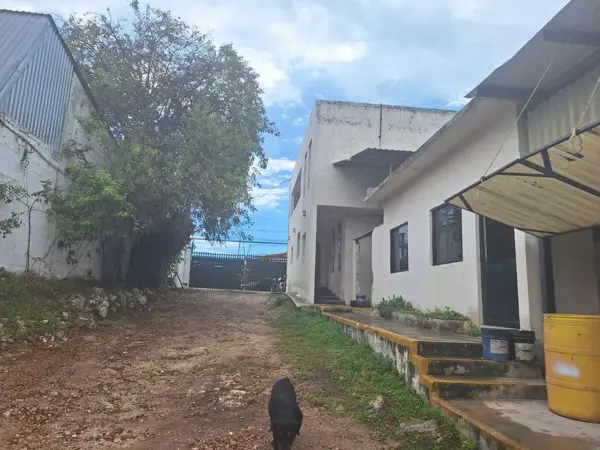 Bodega en renta en Alfredo V. Bonfil, Benito Juárez — foto 3 de 10