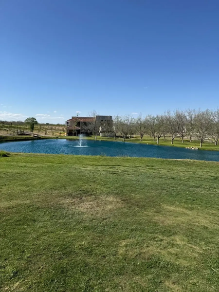 Terreno en venta en Parras de la Fuente Centro, Parras — foto 3 de 9