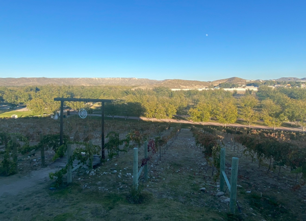 Terreno en venta en Parras de la Fuente Centro, Parras — foto 2 de 9