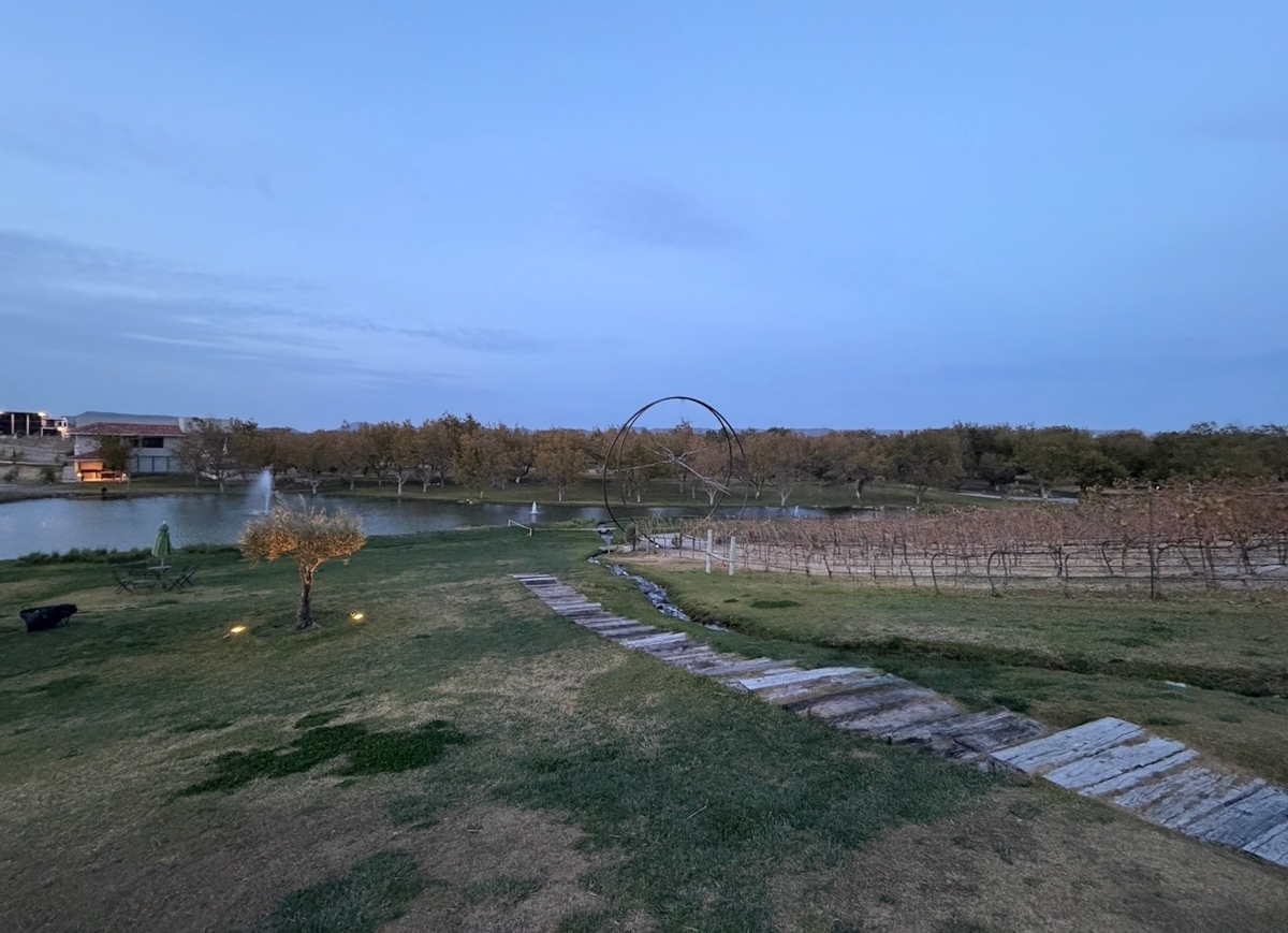 Terreno en venta en Parras de la Fuente Centro, Parras — foto 1 de 9