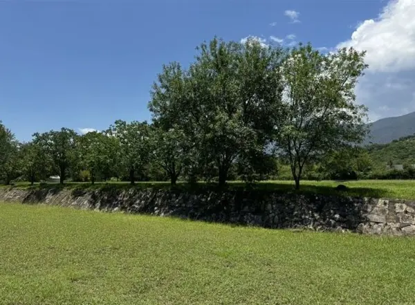 TERRENOS EN VENTA, ALLENDE