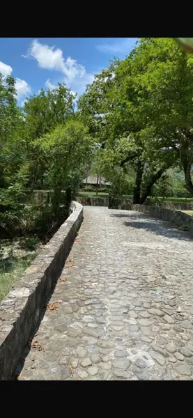 Terreno en venta en Los Álamos Sección, Allende — foto 3 de 11