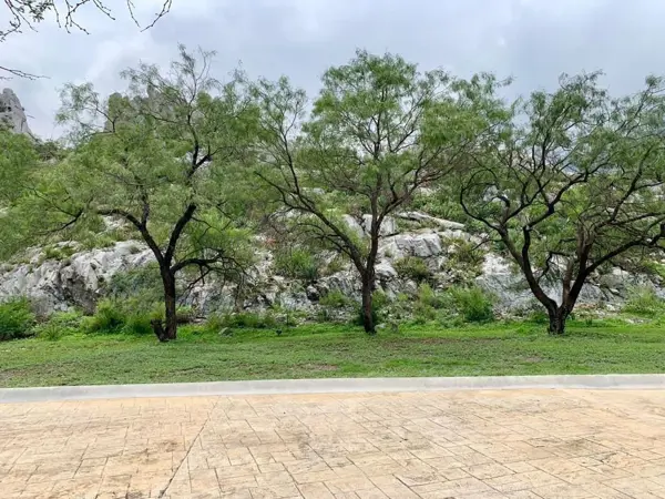 Terreno en venta en Residencial la Huasteca, Santa Catarina — foto 3 de 11