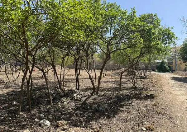 Terreno en venta en Los Rodriguez, Santiago — foto 3 de 4