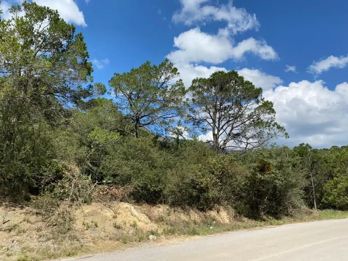 Terreno en venta en Los Lirios, Arteaga — foto 1 de 6