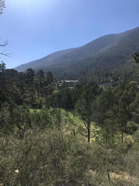 Terreno en venta en Los Lirios, Arteaga — foto 3 de 6