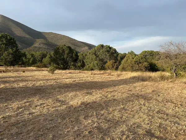 Terreno en venta en Sierra Hermosa, Arteaga — foto 2 de 6