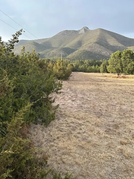Terreno en venta en Sierra Hermosa, Arteaga — foto 3 de 6