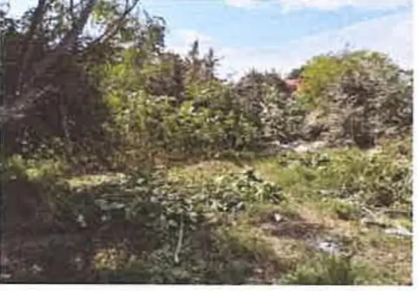 Terreno en venta en Altamira, Altamira — foto 3 de 5