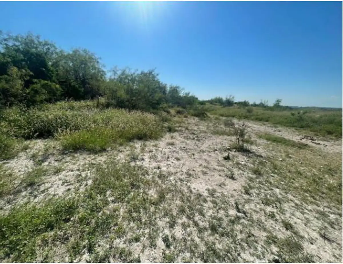 Terreno en venta en Los Lirios, Ciénega de Flores — foto 1 de 4