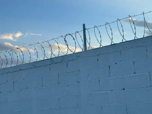 Terreno en venta en Guadalupe, Monclova — foto 3 de 3